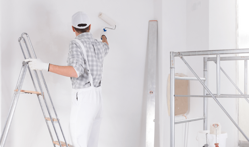 Nexez Paint Co
